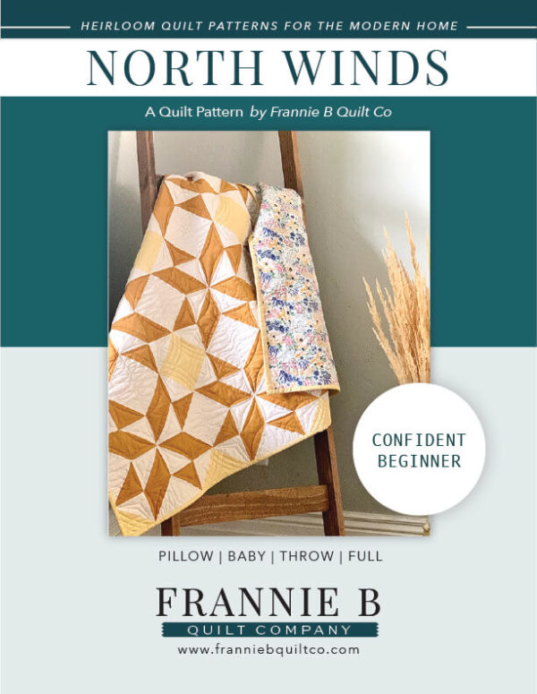 Cover Photo of the North Winds Quilt by Frannie B Quilt Company